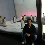 Melbourne Aquarium: Penguin