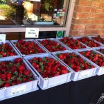 Melbourne: Sunny Ridge Strawberry Farm