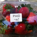 Melbourne: Sunny Ridge Strawberry Farm